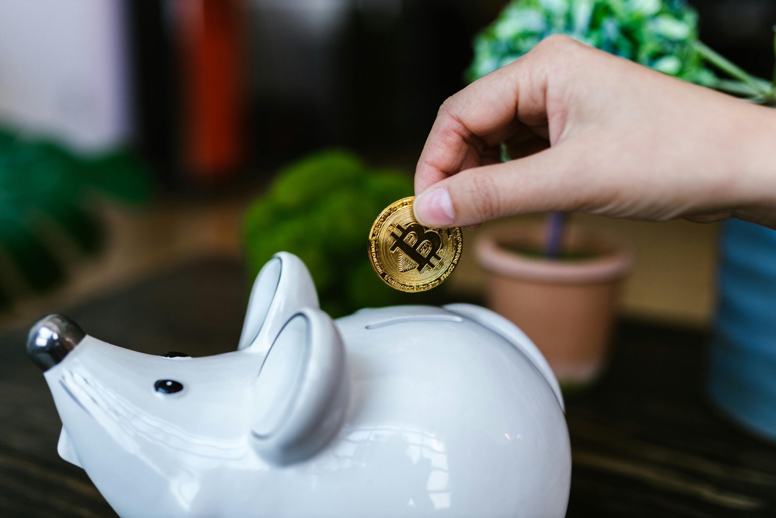 1 coin holder